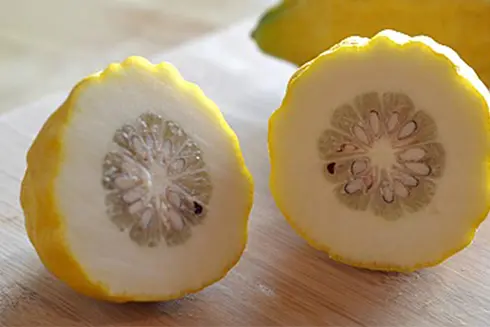 A close up of two pieces of fruit on a table