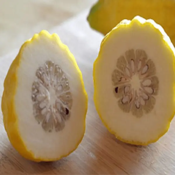 A close up of two pieces of fruit