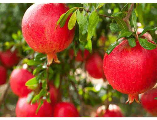 test title4652